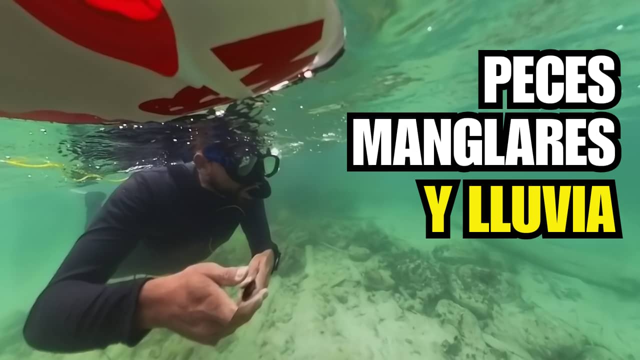 Snorkel en Isla Tintipán bajo la lluvia: Aventura submarina en el Caribe Colombiano