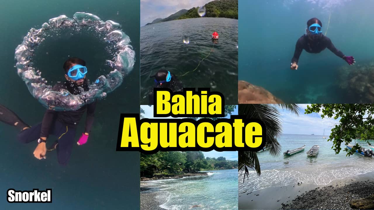 Snorkel en Bahía Aguacate: corales vivos, peces tropicales y agua cristalina