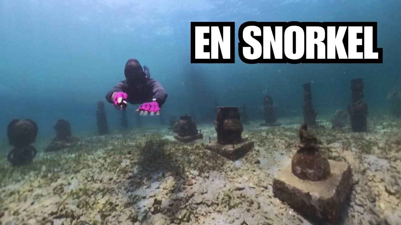 Museo Submarino Zenú en Isla Fuerte: Guía de Buceo y Snorkel