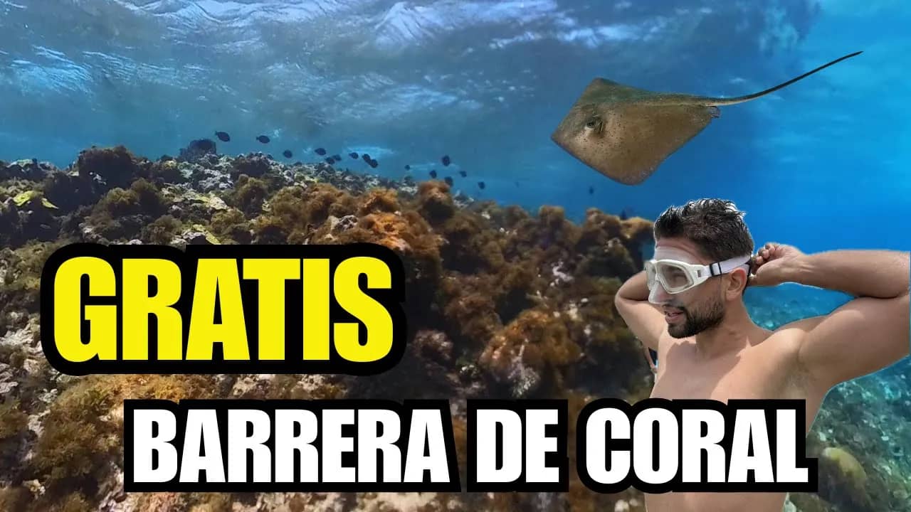 Barrera de Coral de San Andrés: Cómo Explorarla GRATIS (Sin Tour)